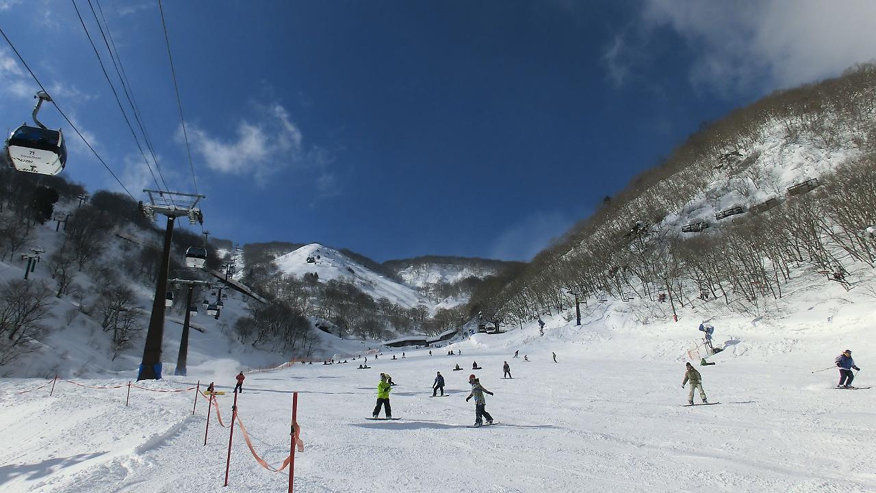 Pals Inn Raicho Hakuba Extérieur photo